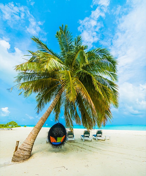Caribbean